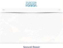 Tablet Screenshot of dsms1.com